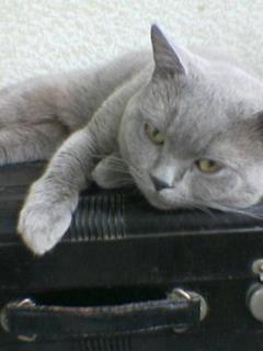 Other Wallpapers 0555